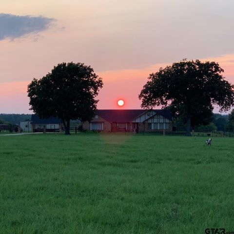 4569 CR 234 D Henderson TX 75652