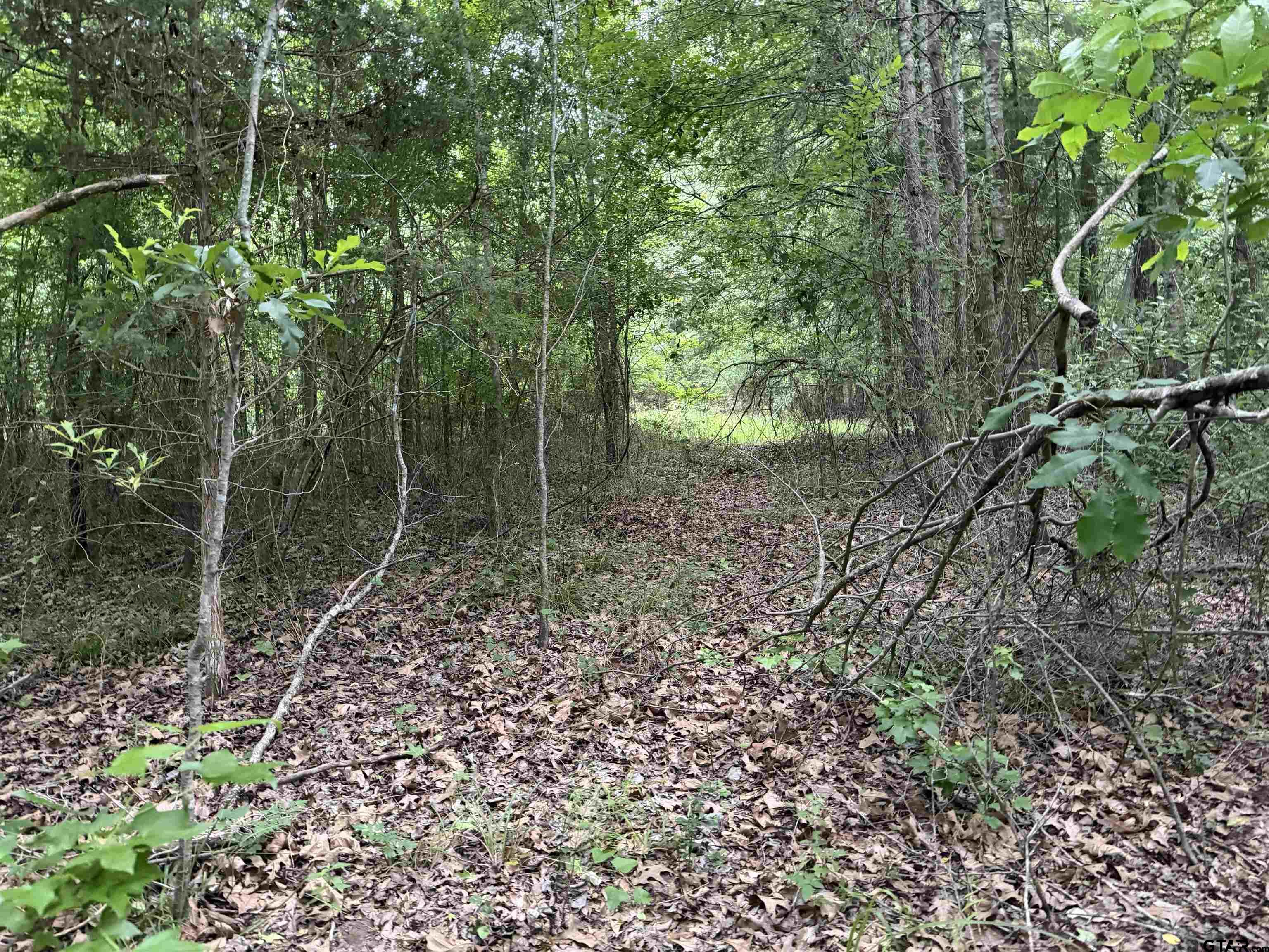 000D County Road 1204