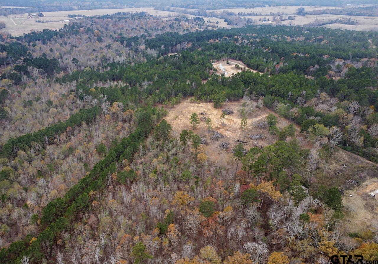 21404 County Road 294