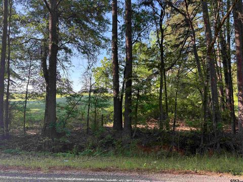 LOT 9  5+ ACRES FM 15 Troup TX 75789