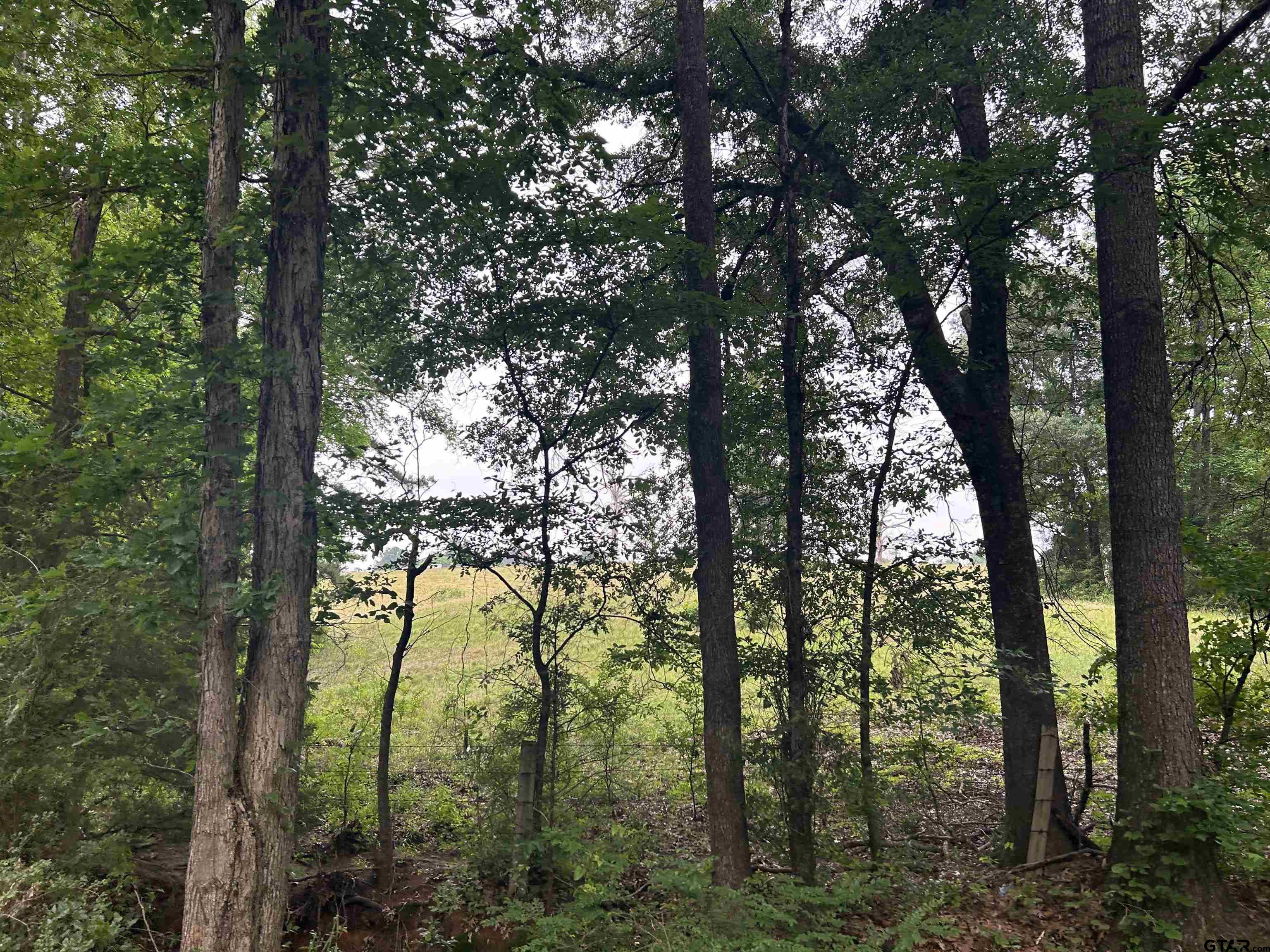 LOT 9 5+ ACRES FM 15