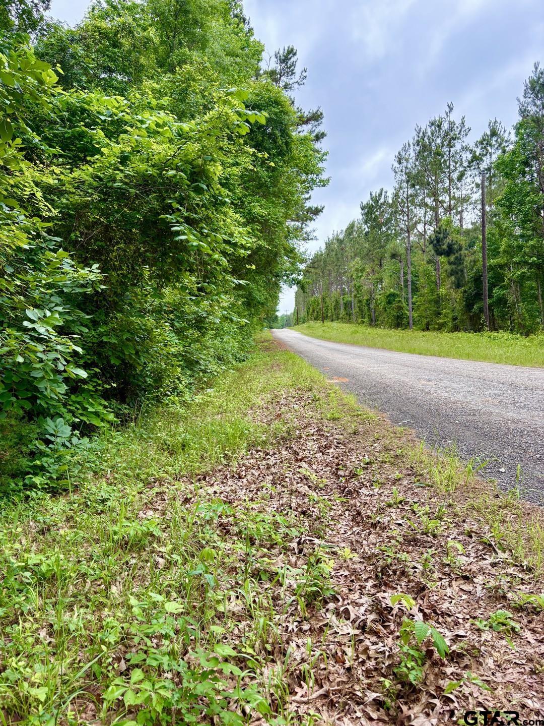 TBD County Road 4504