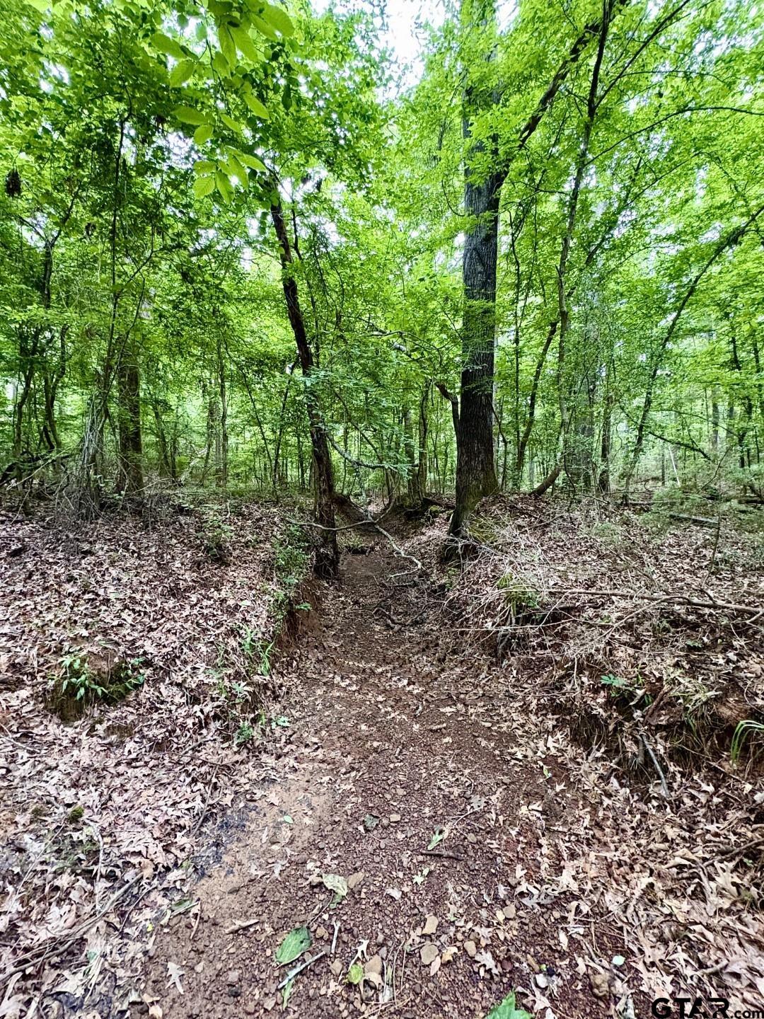 TBD County Road 4504