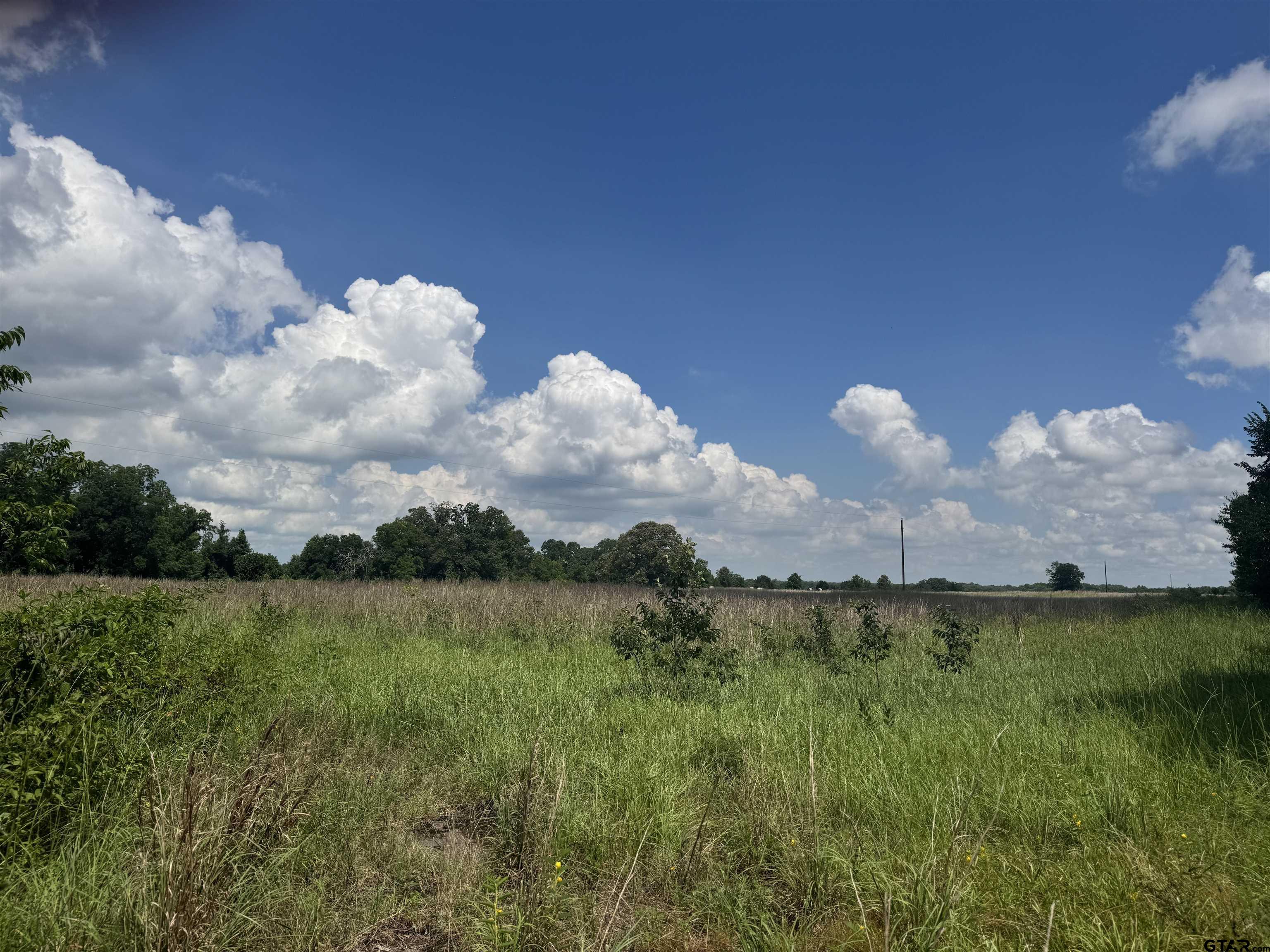 TBD CR 3925