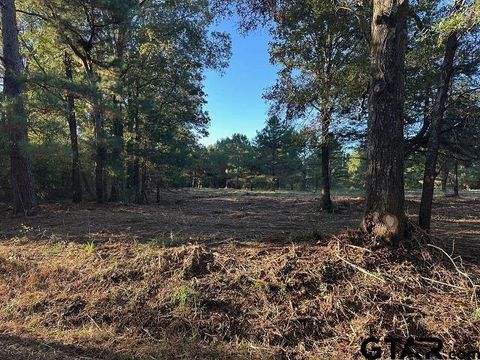 TBD CR 1552 Long Branch TX 75669