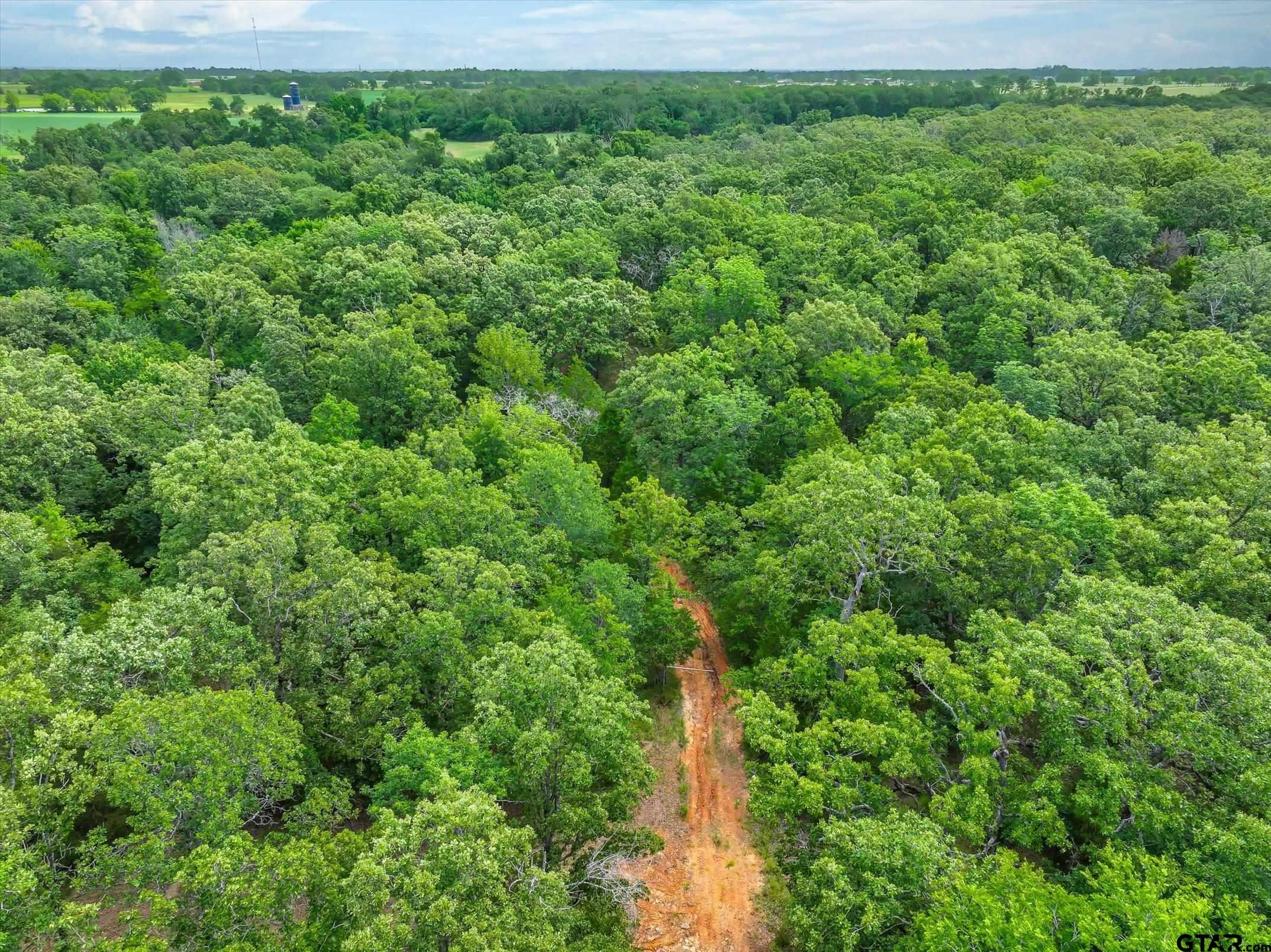 950 VZ County Road 1919