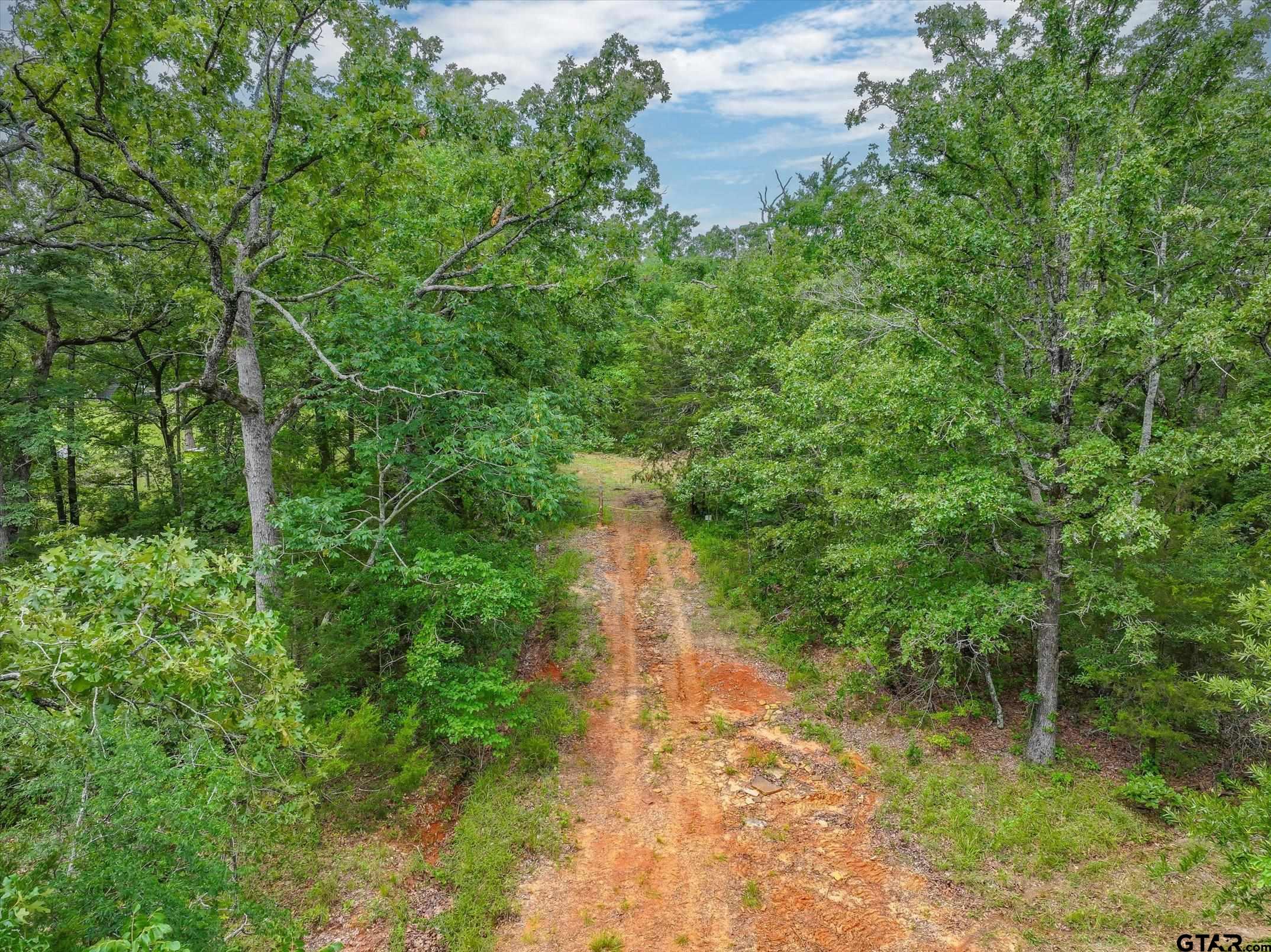 950 VZ County Road 1919