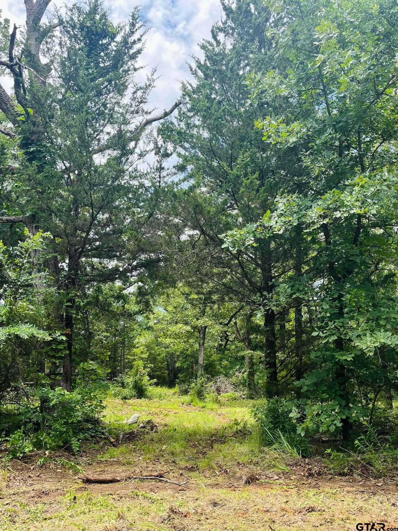 950 VZ County Road 1919