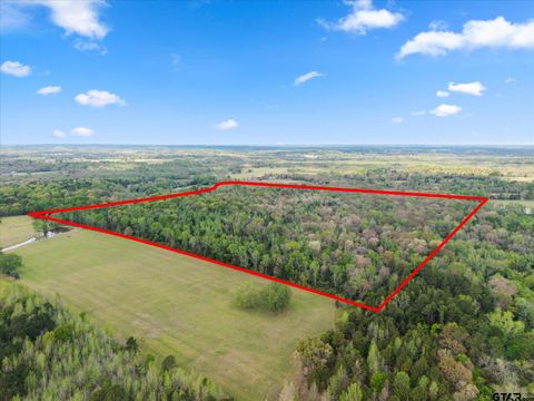 TBD CR 4390 Winnsboro TX 75494