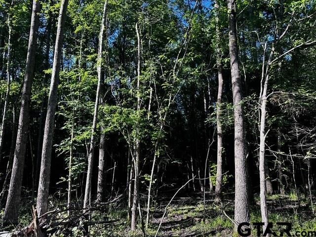 TRACT  E/ 437 TBD/PRIVATE ROAD