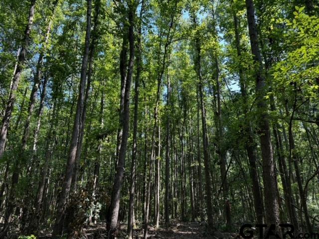 TRACT  E/ 437 TBD/PRIVATE ROAD