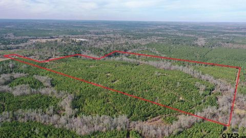 TBD Shady Grove Road Jefferson TX 75657