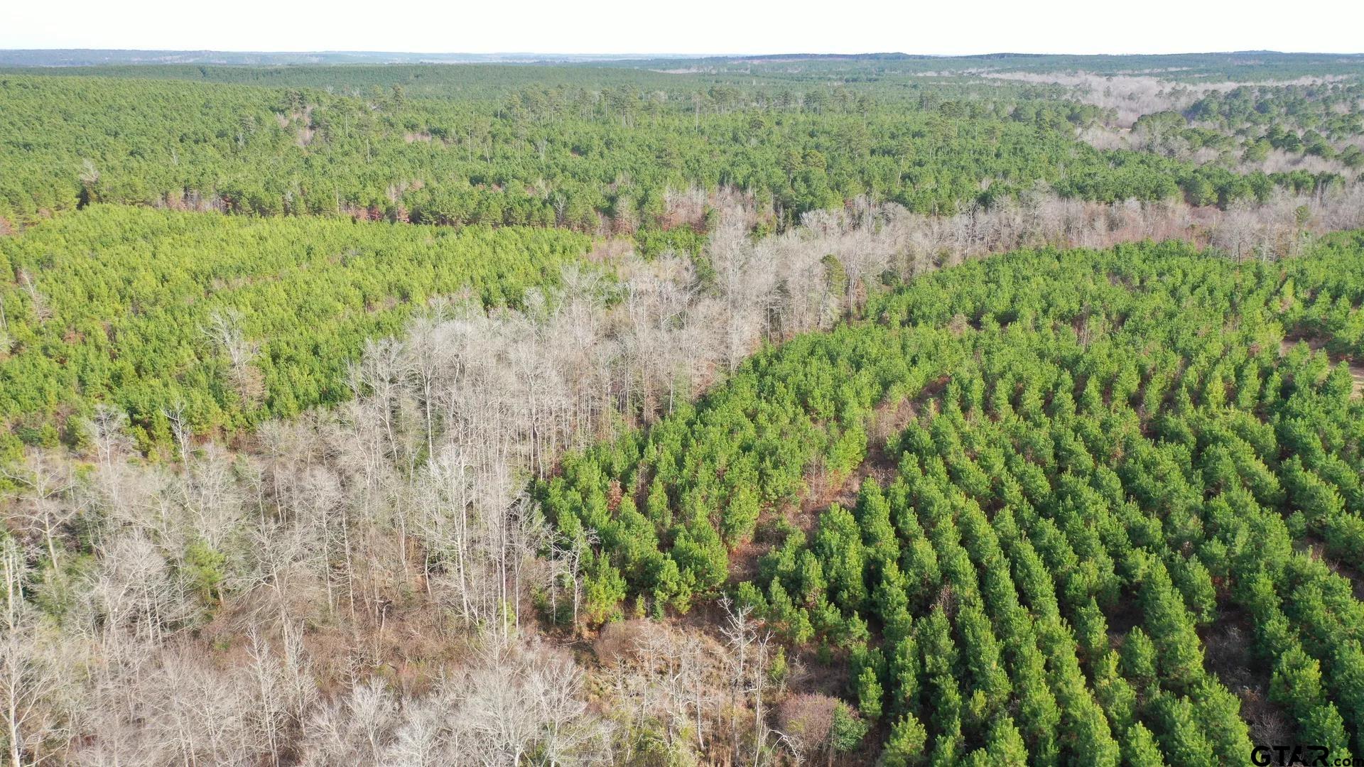 TBD Shady Grove Road