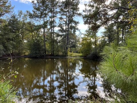 7749 CR 4200 (Fodice Road) Pennington TX 75856