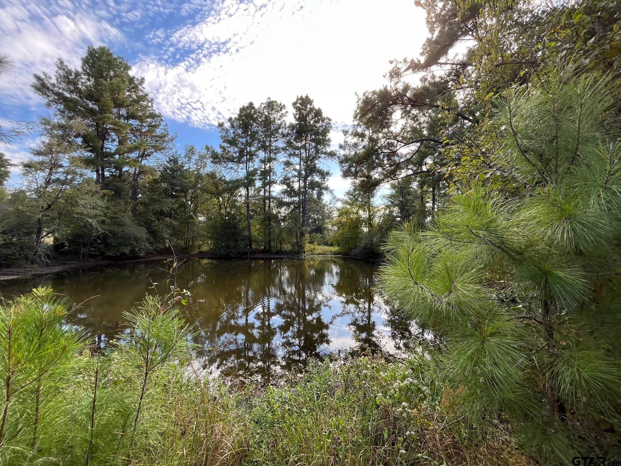 7749 CR 4200 (Fodice Road)