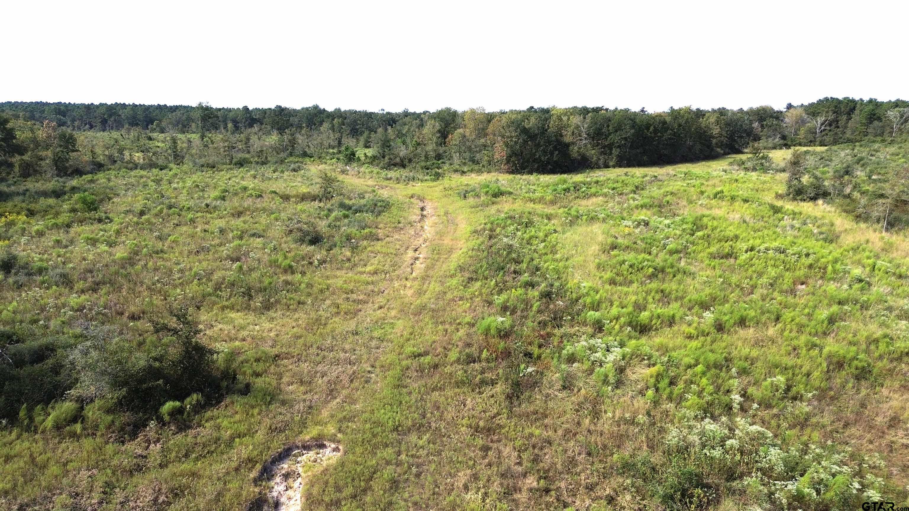 7749 CR 4200 (Fodice Road)