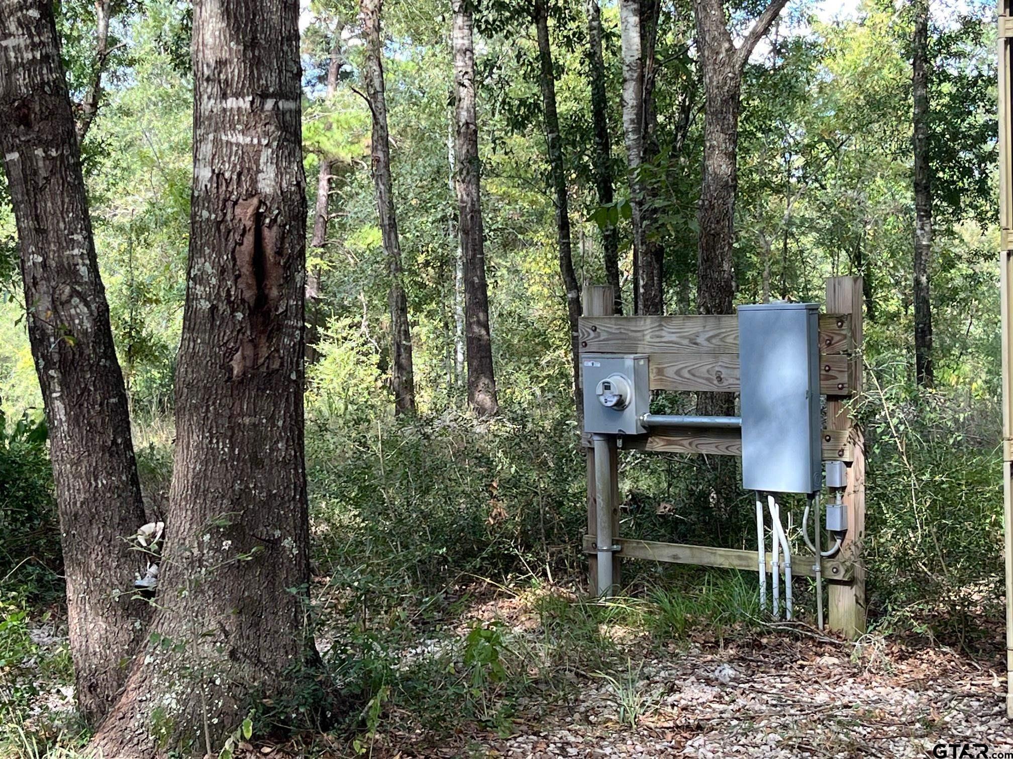 7749 CR 4200 (Fodice Road)