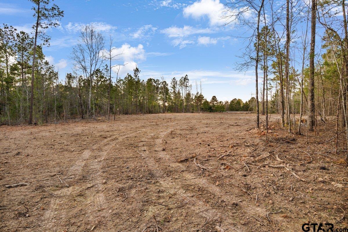 Troup, Texas 75789, United States, ,Land,Active,176872