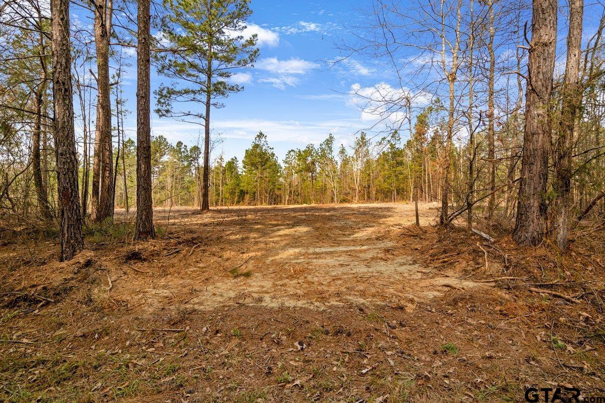 Troup, Texas 75789, United States, ,Land,Active,176872