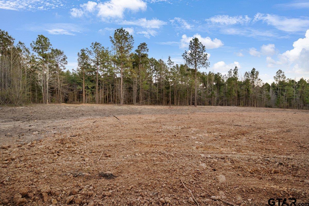 Troup, Texas 75789, United States, ,Land,Active,176872