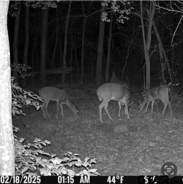 562 County Road 4430