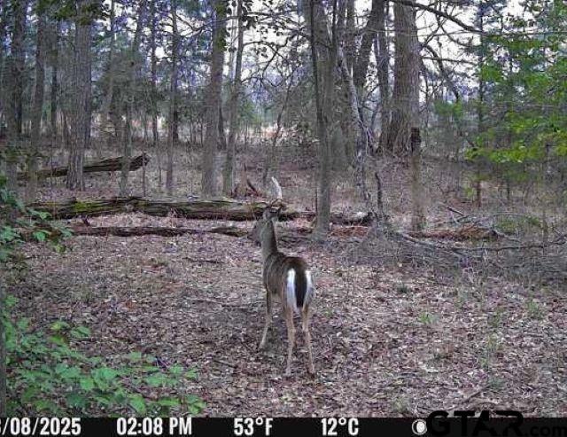 562 County Road 4430