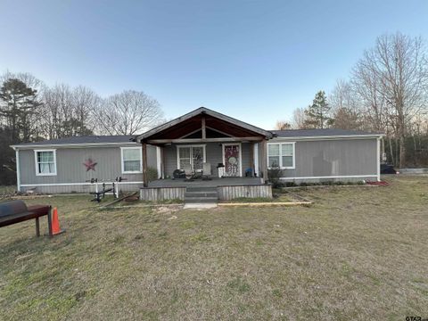23985 Fm 838, Overton, TX 75684 - MLS#: 25003356