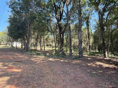 TBD County Road 3807 Bullard TX 75757