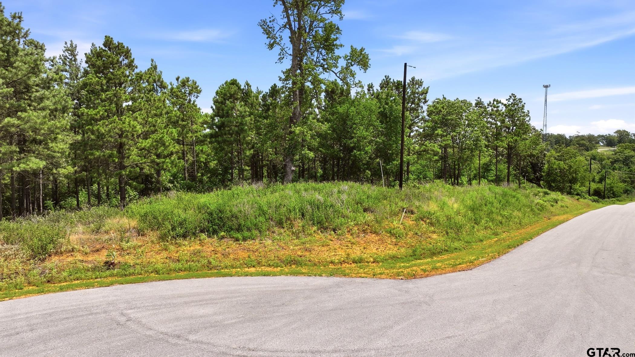 LOT 130 W Valley View Ct