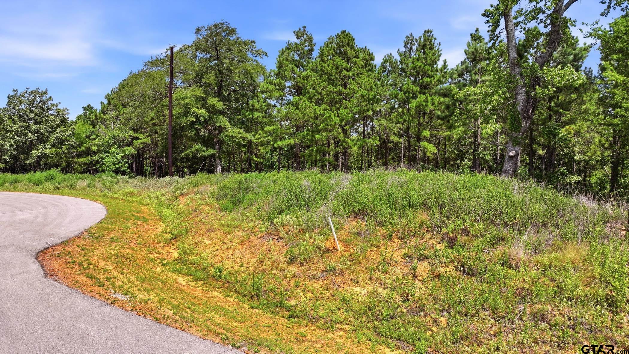 LOT 130 W Valley View Ct