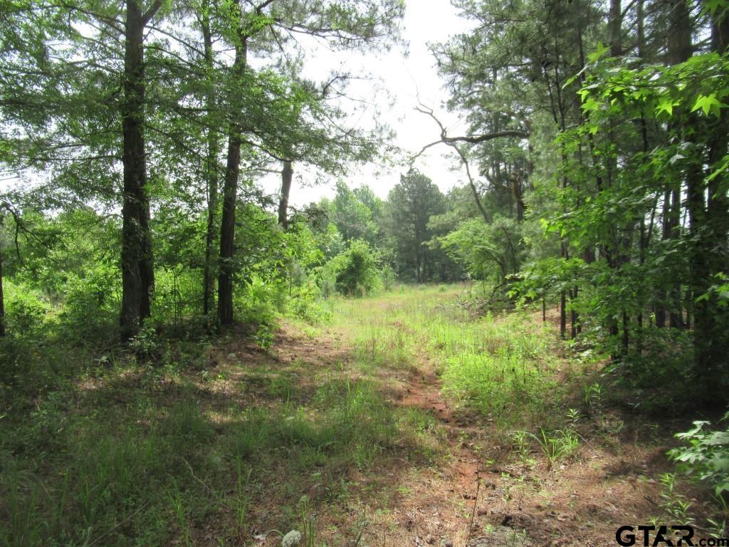 9018 Hwy 64