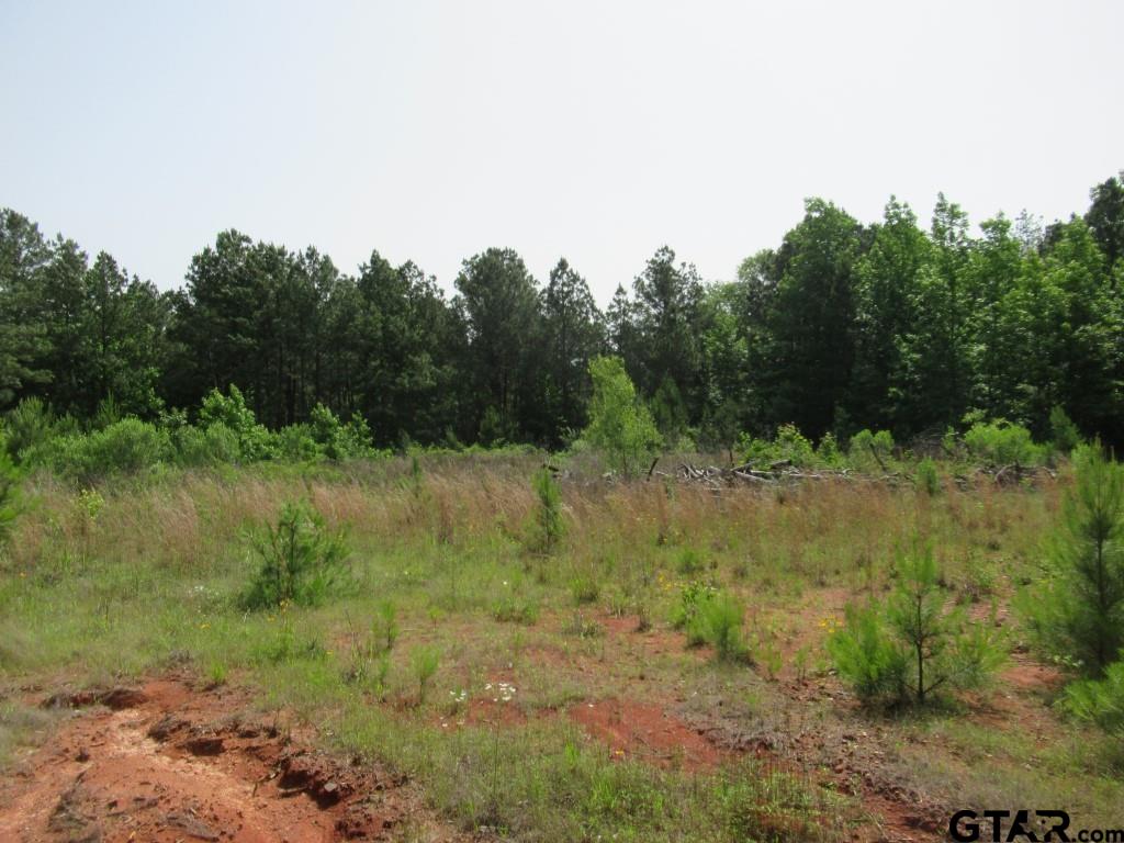 9018 Hwy 64