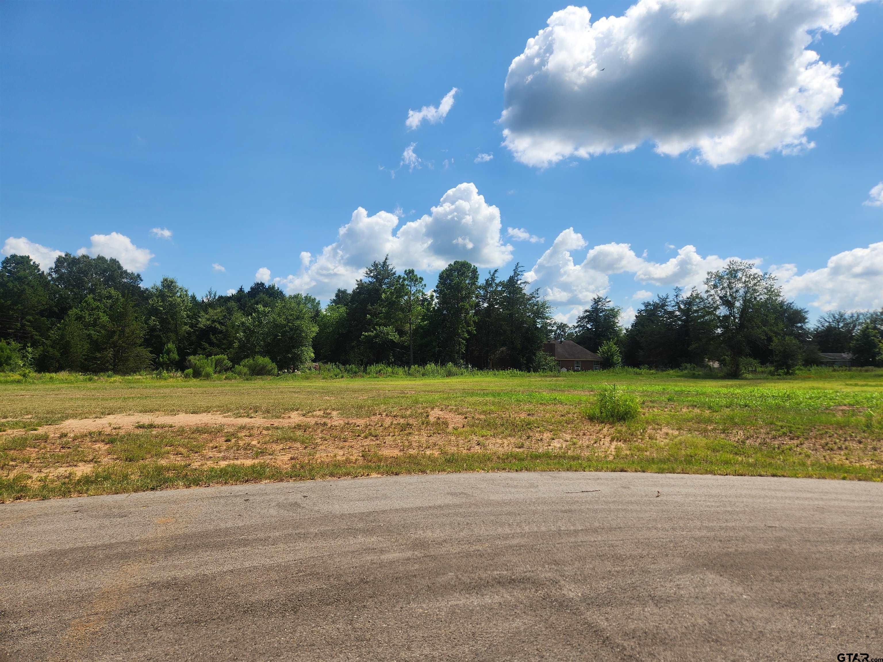 20055 Dews Ct Lot 7