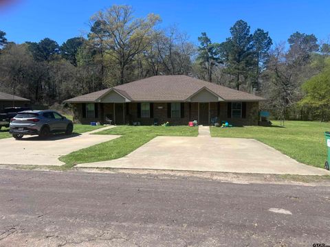 1642 Deanna Diana TX 75640