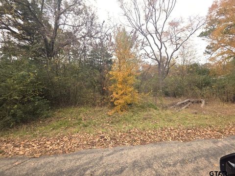 15980 San Augustine Dr Tyler TX 75704