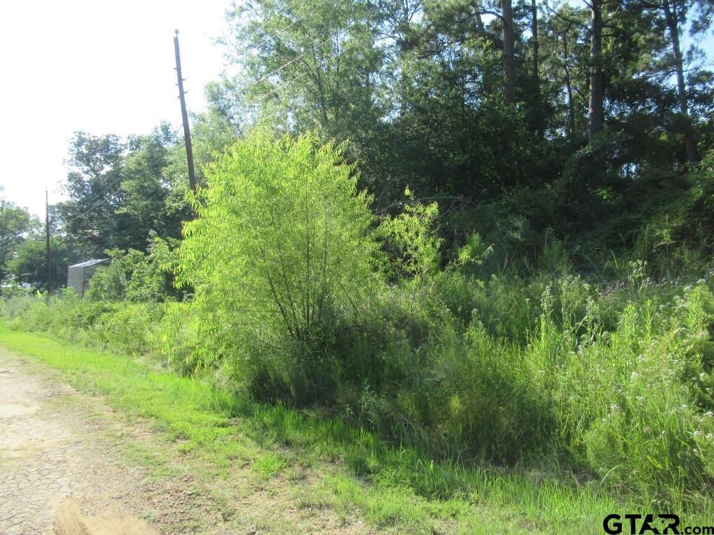 22448 Shady Trail