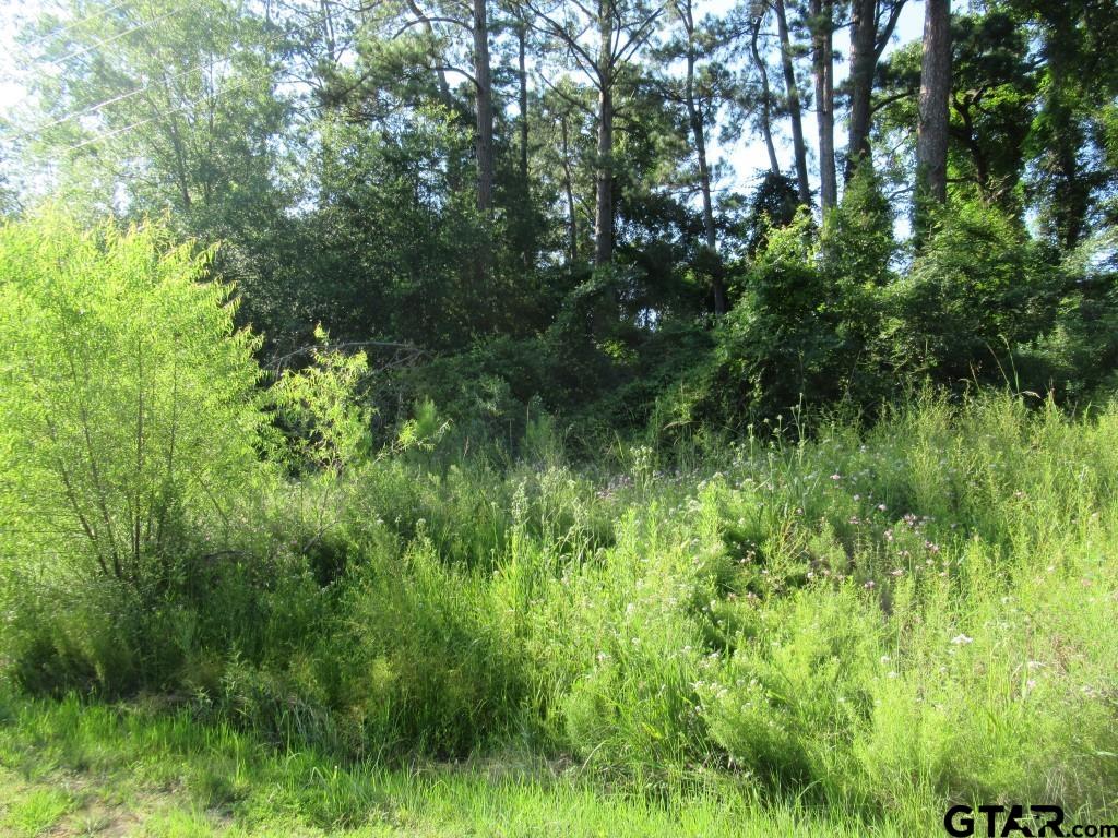 22448 Shady Trail