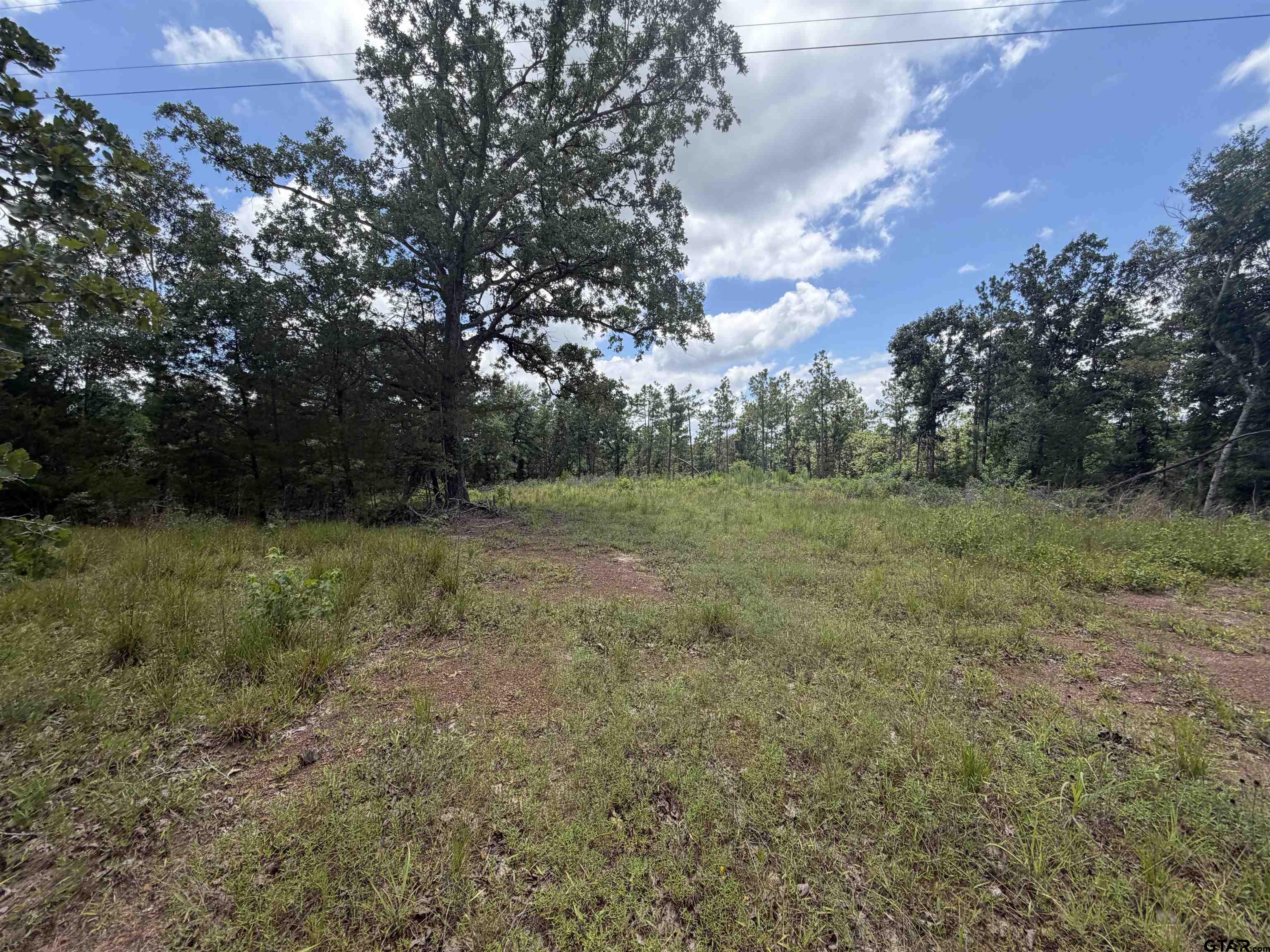 0000 State Hwy 204, 15 Acres