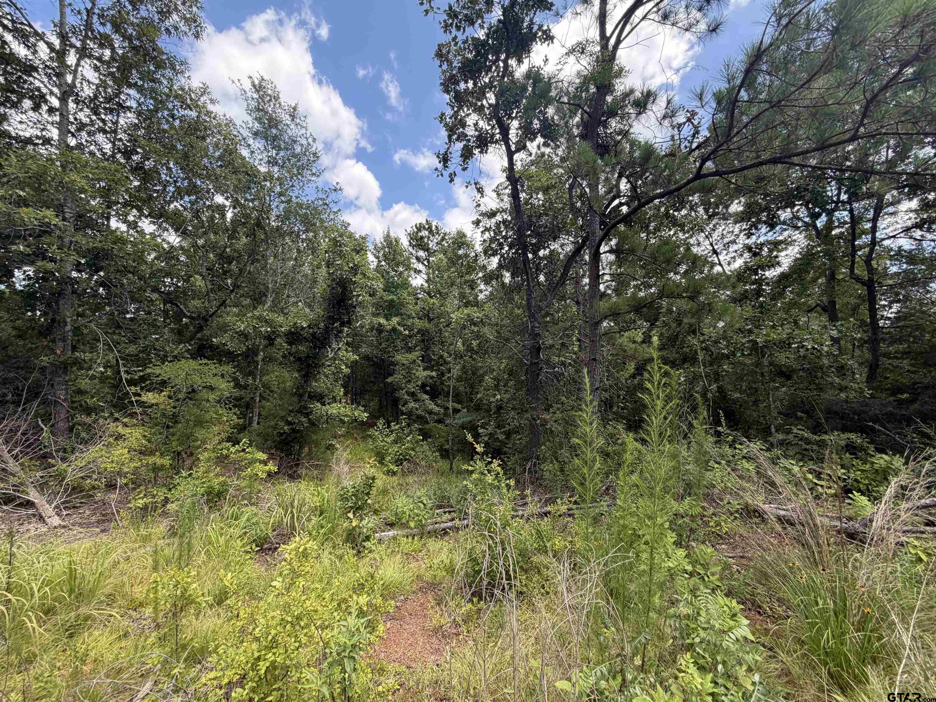 0000 State Hwy 204, 15 Acres