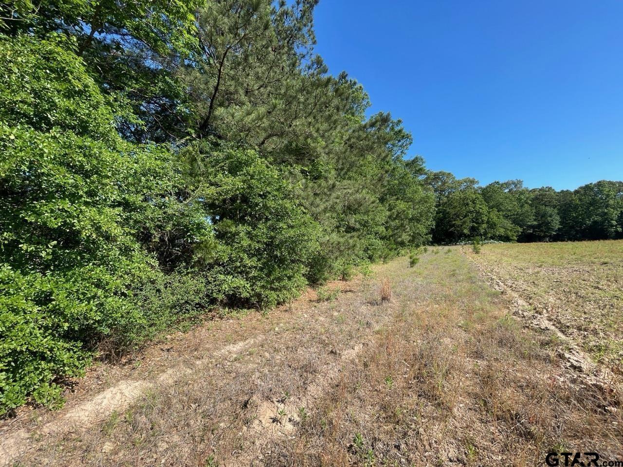 000 County Road 2138