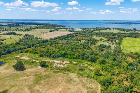 12960 County Road 4006 Mabank TX 75147