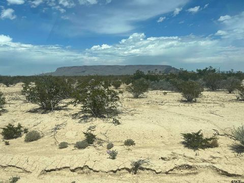 15218 N Lowery Key Rd Terlingua TX 79852