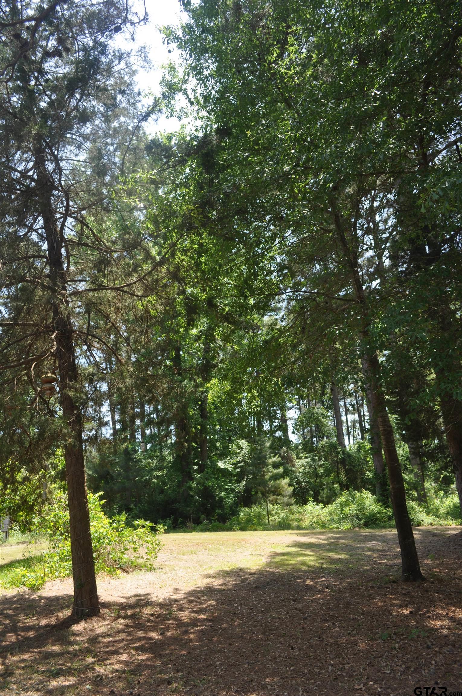 151 County Road 1521