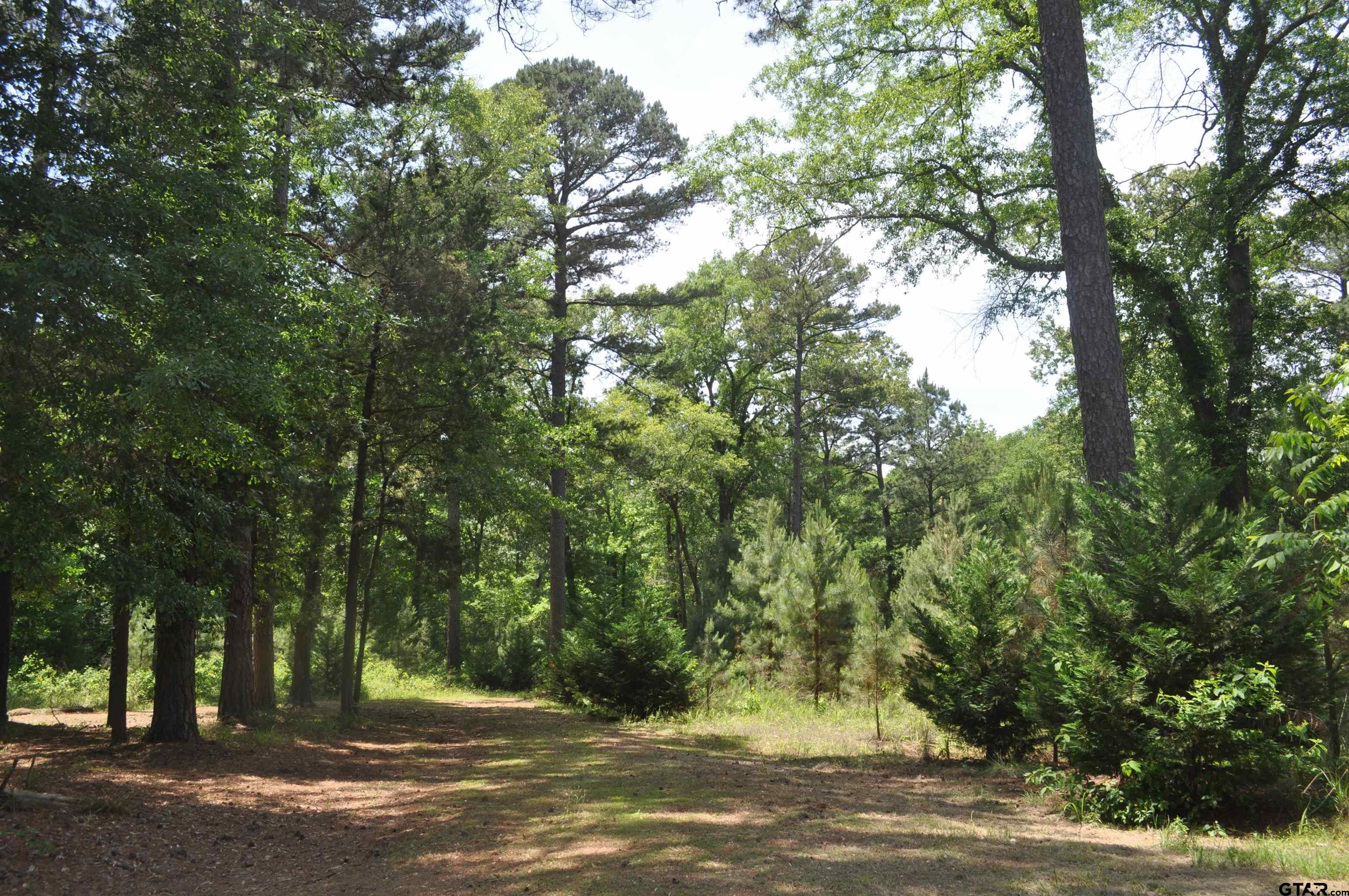 151 County Road 1521