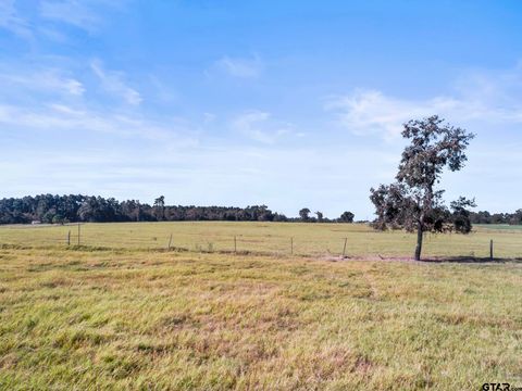 14926 (TRACT 3) CR 438 Lindale TX 75771