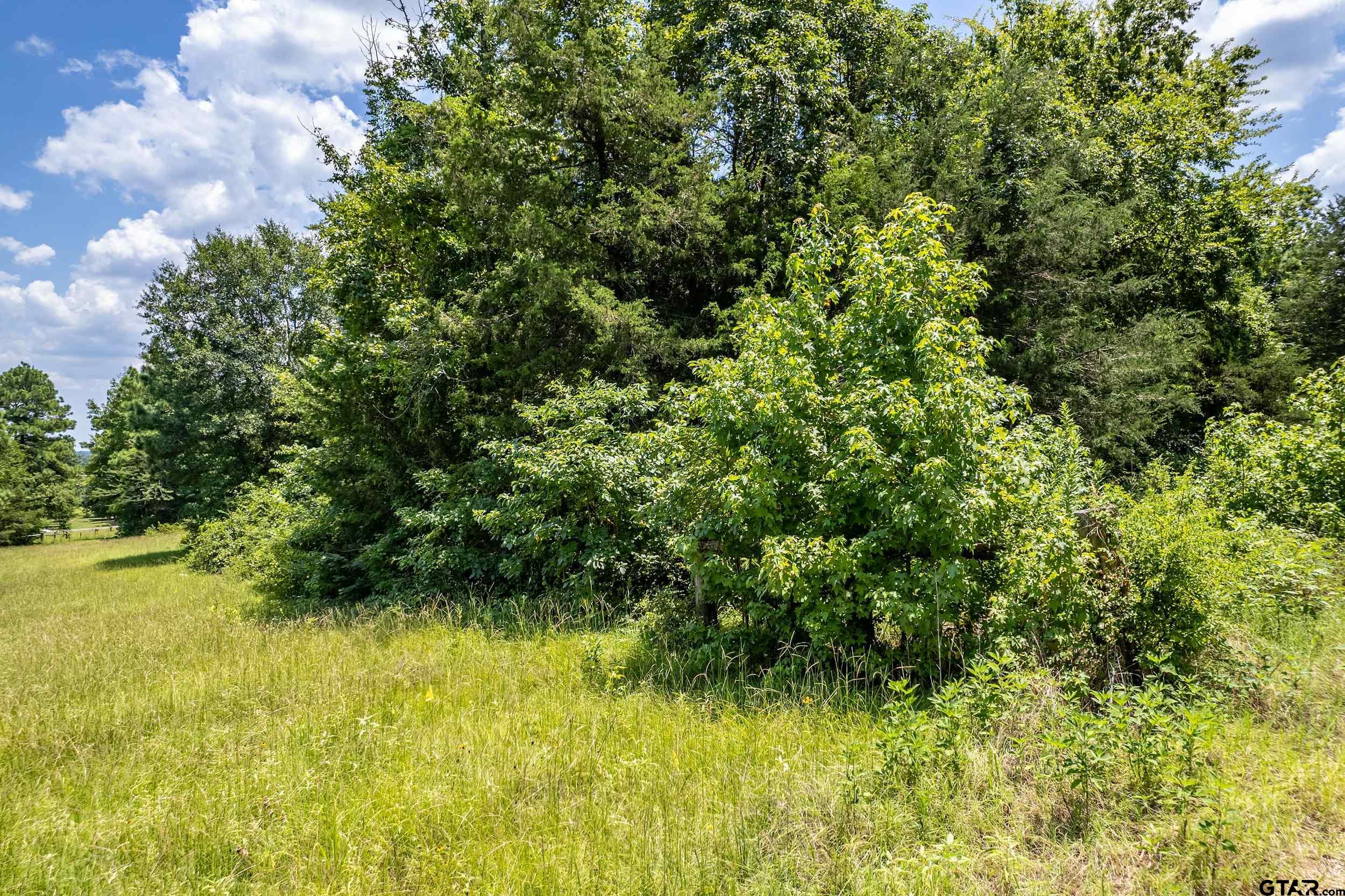 Lot 71 Star Mountain