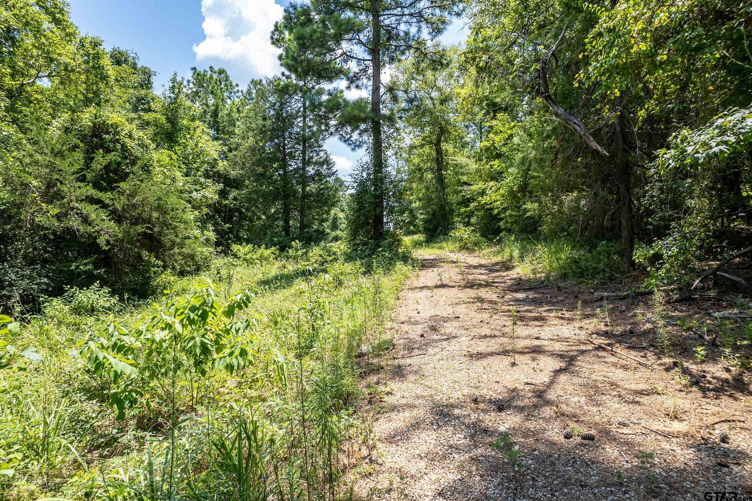 Lot 71 Star Mountain