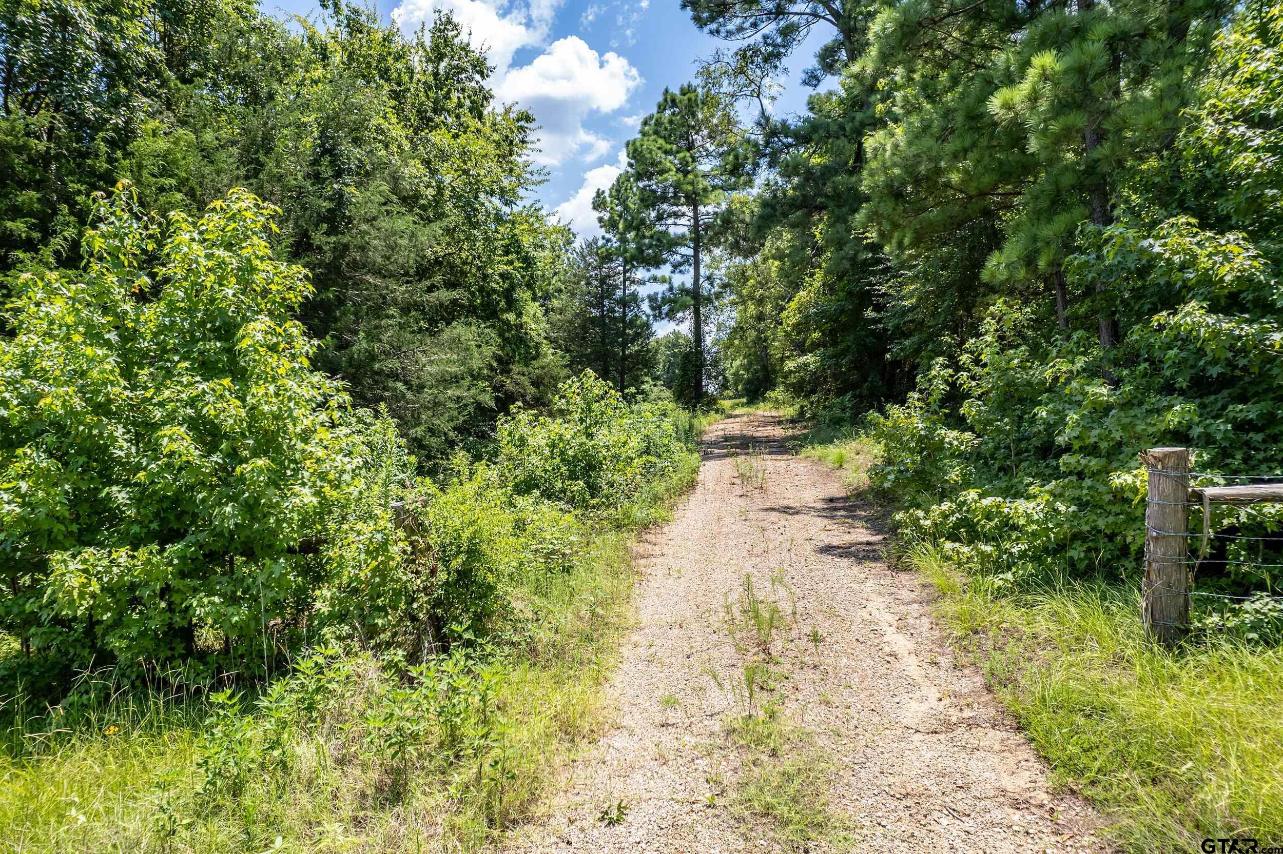 Lot 71 Star Mountain