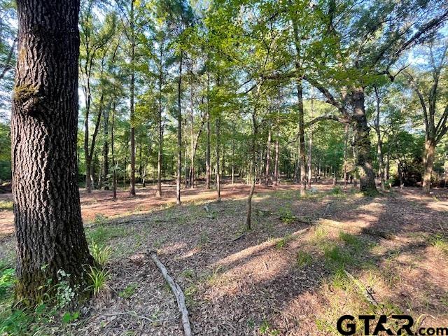 13050 Timber Creek Dr