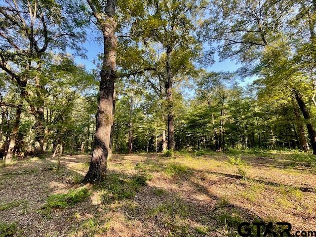 13050 Timber Creek Dr